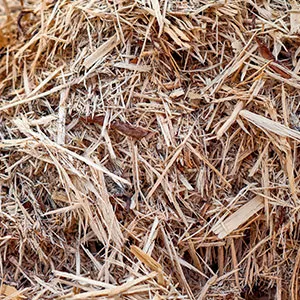 Щепа для арболита оптом в Черкесске и других различных марок заказать от 16 тонн